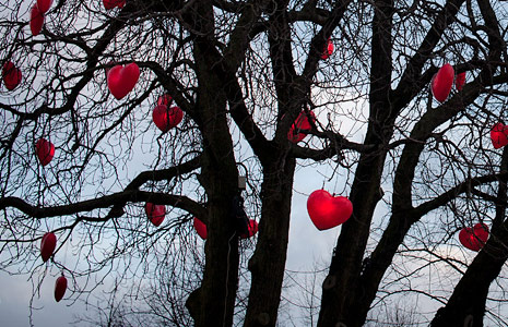 无限循环呼叫电话软件